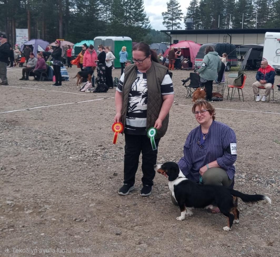 Pihapehtoorin Cyrus(Lacun petikaveri) Sotkamon näyttelyssä, esittäjänä omistaja Irma Vesteri, tuomarina Tiina Eskelinen(VSP).