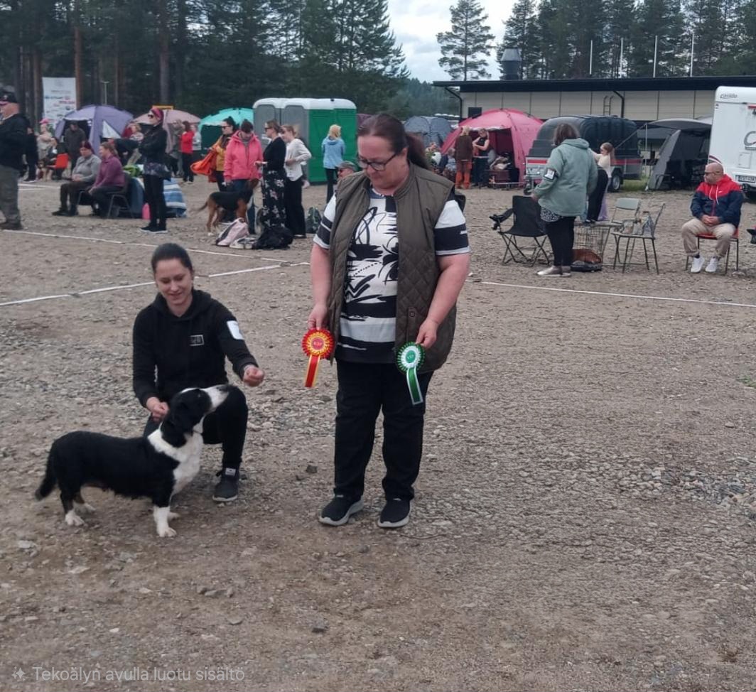 Iitu Sotkamon näyttelyssä, esittäjänä Taina Leiviskä, tuomarina Tiina Eskelinen(ROP).