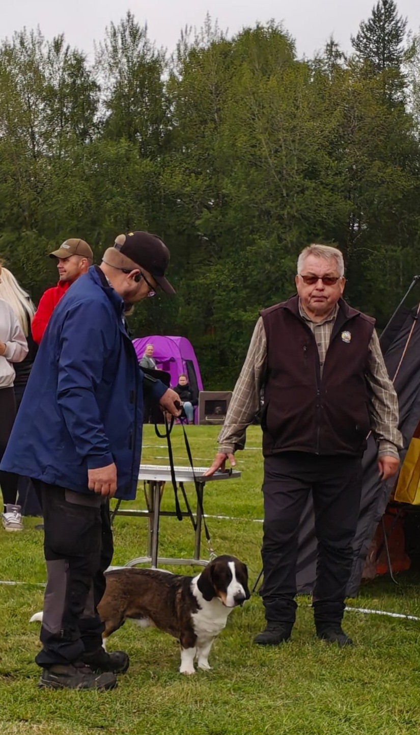 LacuPekka ja Poti